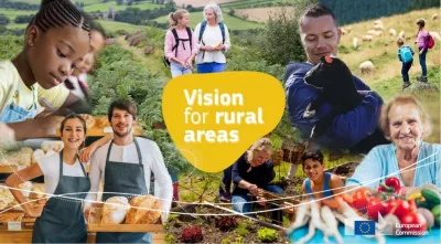 The long-term vision for the EU’s rural areas: key achievements and ways forward