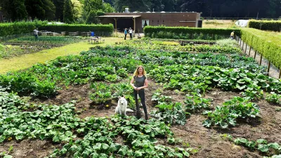 Agricultural and Rural Inspiration Awards 2024: apply now!