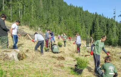 SEA4NEB project final event highlights the role of social economy in rural development