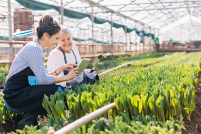 Harnessing the ‘silver economy’ to boost rural SME growth and quality of life for the elderly 