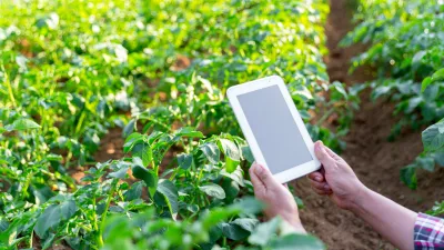 Image by doidam10 on Canva