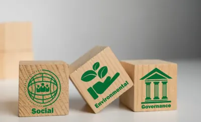 Rural competitiveness: business support, local assets and social economy approaches