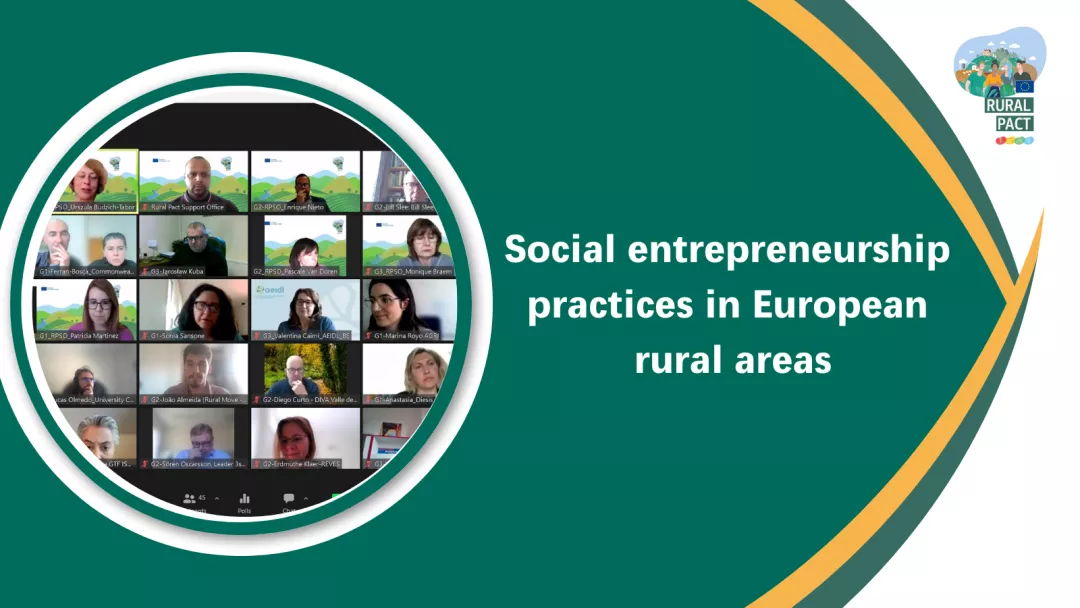 Social entrepreneurship practices in European rural areas
