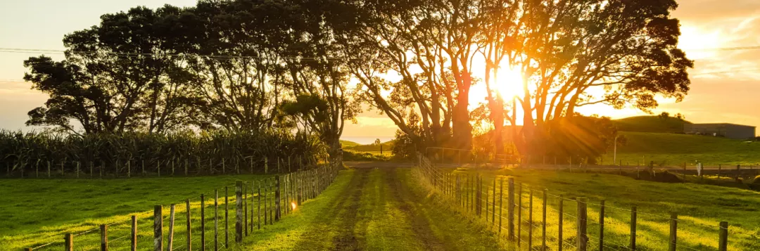 Rural landscape