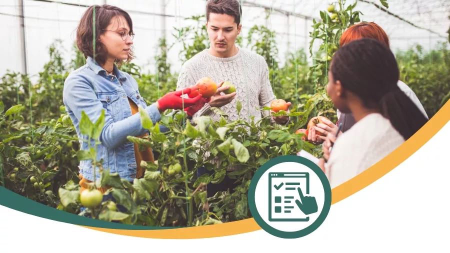 Capacity-building opportunities for social economy SMEs in the agrifood sector