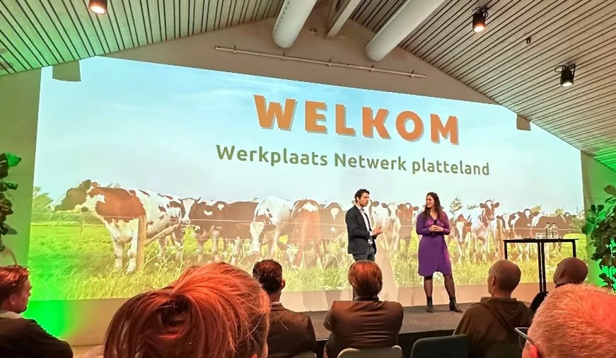 dutch call