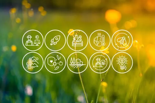 Assessment of CAP Strategic Plans’ delivery on CAP objectives