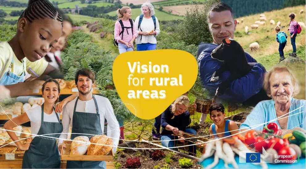 The long-term vision for the EU’s rural areas: key achievements and ways forward