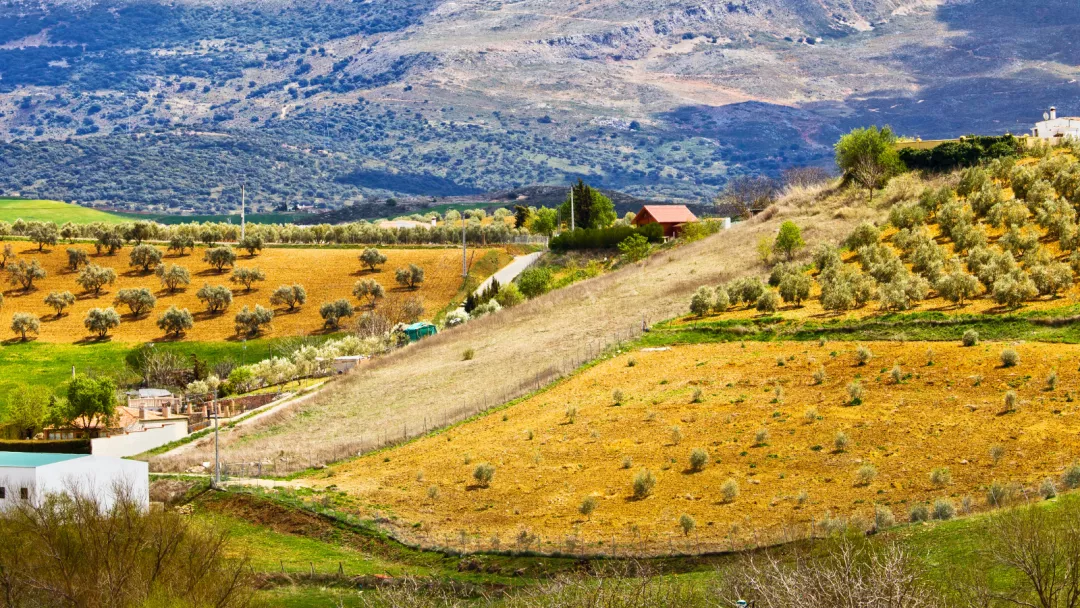 LEADER’s impact on balanced territorial development – new Commission evaluation