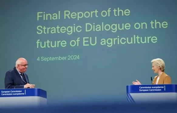 Strategic Dialogue report