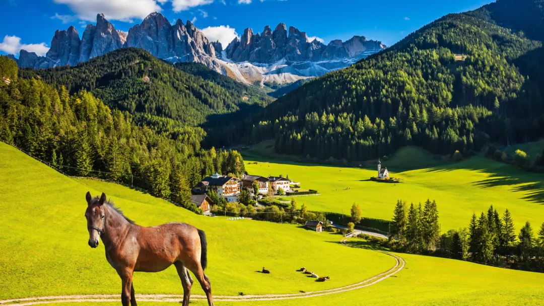 Rural tourism