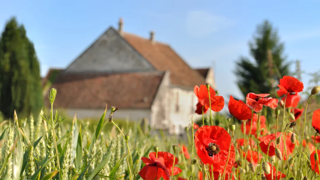 Image by sanddebeautheil on Canva