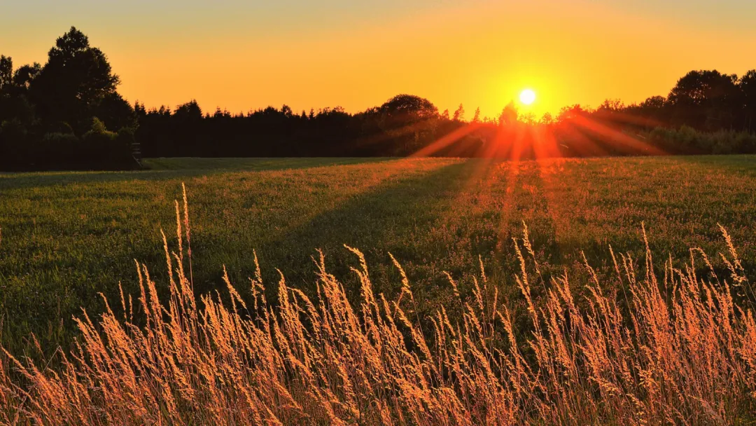 Image by Jonathan Petersson on Canva