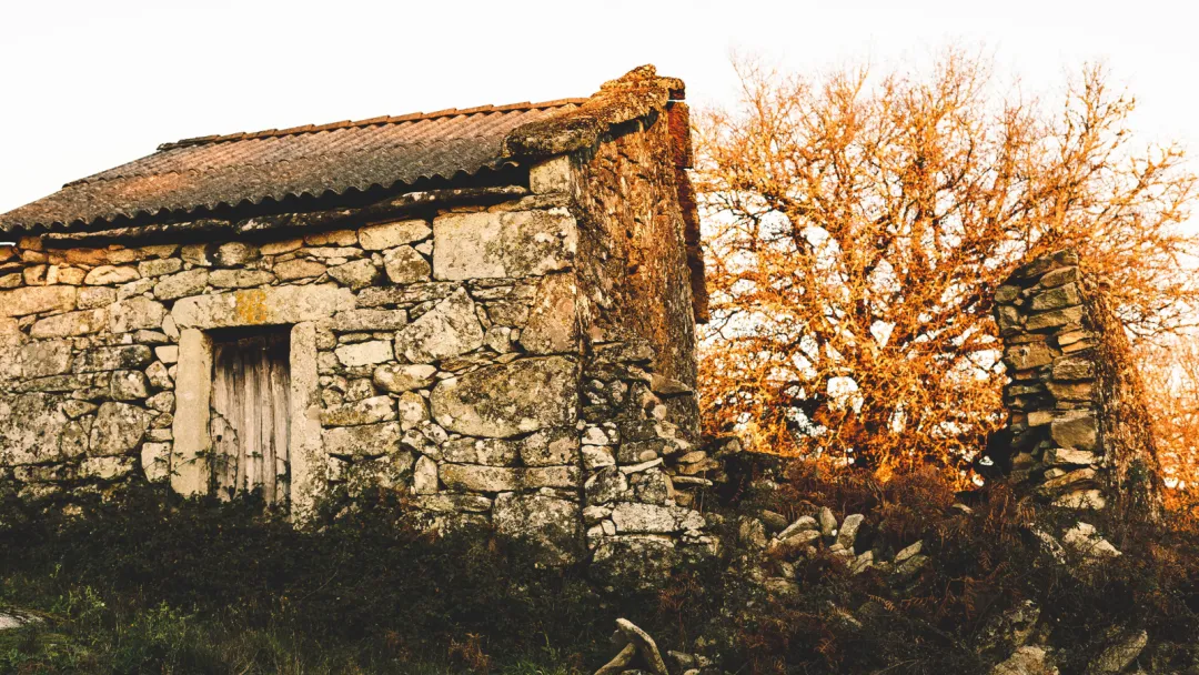 Image by Zvalalto on Canva