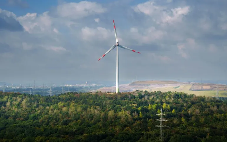 Image by Jakub Zerdzicki on Canva