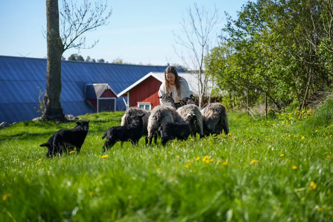 © 2026 GRASS CEILING – Gender Equality in Rural and Agricultural Innovation Systems 