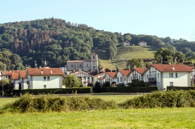 RPSO activities in 2026