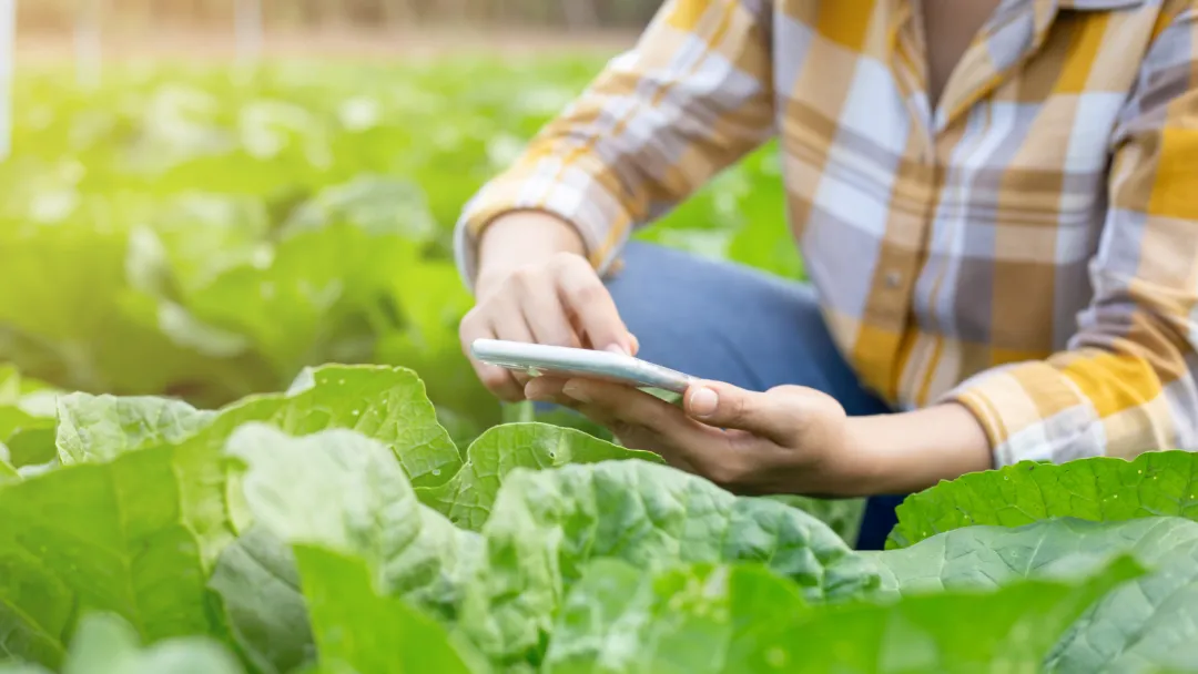 Image by TK 1993 on Canva