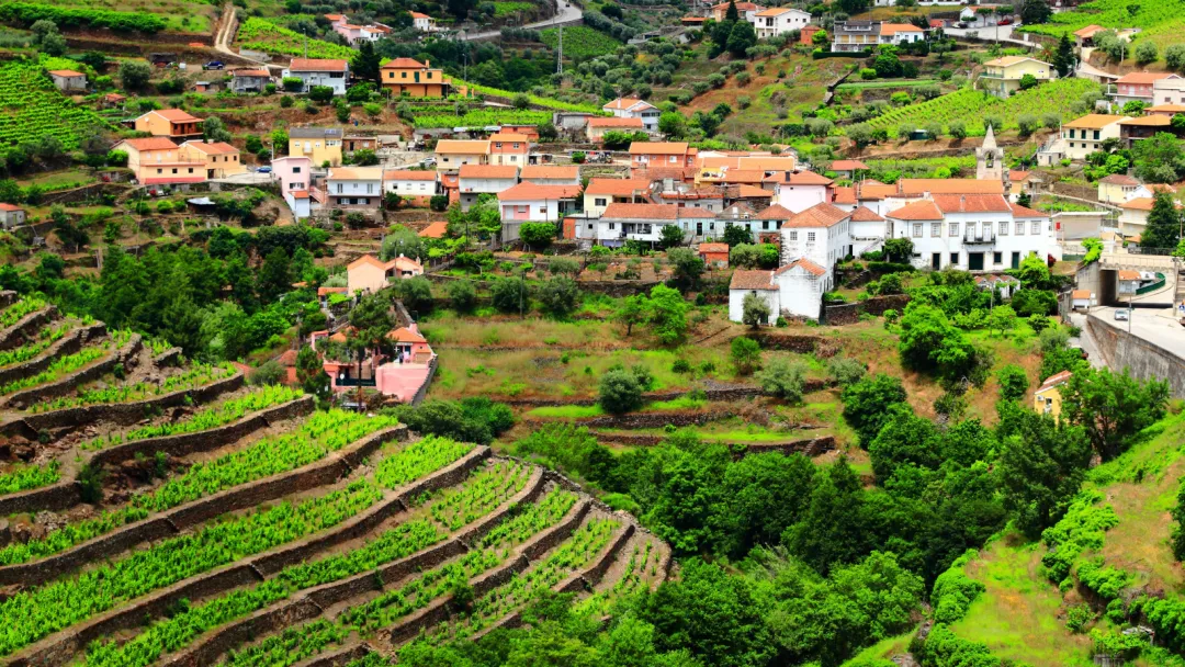 Analysing rural start-up entrepreneurship: new OECD-JRC insights from Portugal