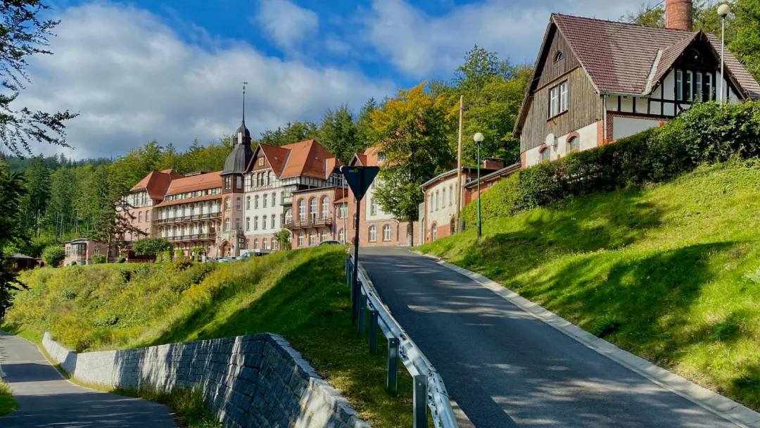 Image by Przemek Leśniewski from Pexels on Canva