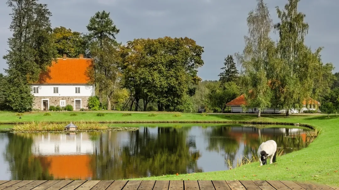 Image by gorsh13 from Getty Images on Canva
