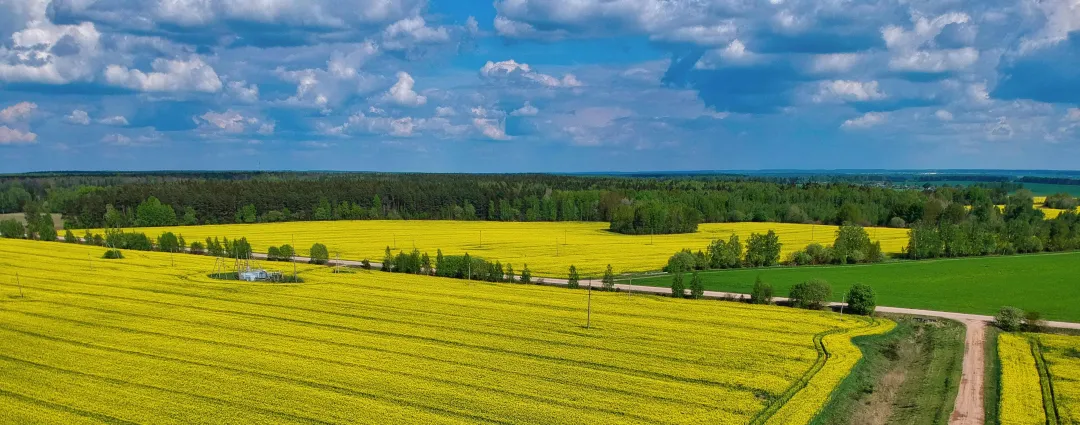 Country page banner