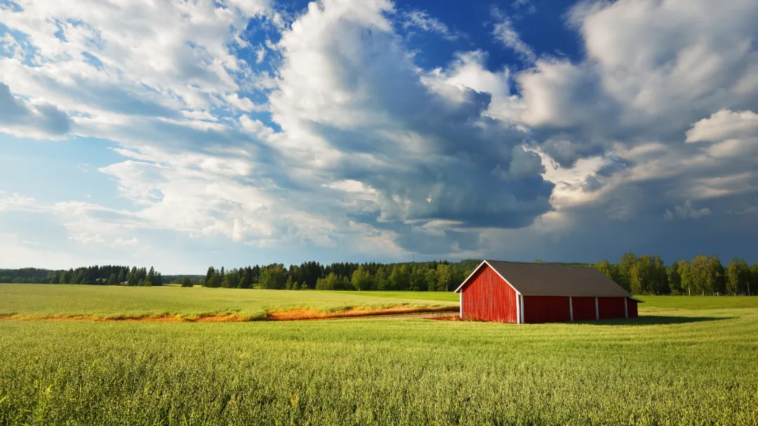Image by alekseystemmer from Getty Images Pro