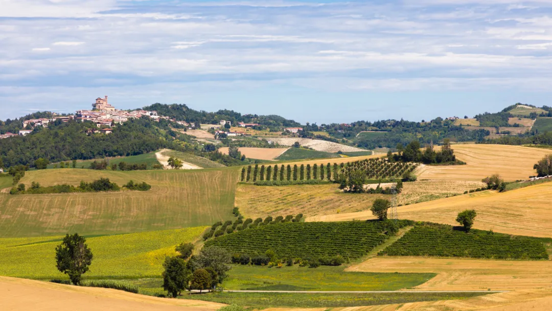Image by paologallophoto on Canva