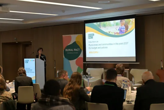 Policy-Lab-post-2027-EU-budget-and-policies