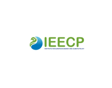 Institute for European Energy and Climate Policy (IEECP)